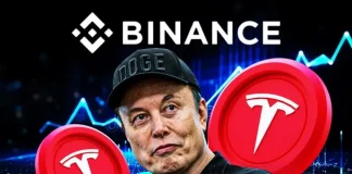Binance To List Elon Musk’s Tesla (TSLA) as Stocks Go Onchain