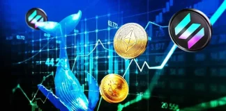 Dormant Bitcoin Whale Awakens with $30M Profit