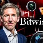 Bitwise CIO Calls Crypto Crash a ‘Blip’ as Market Bounces Back With $338M ETF Inflows