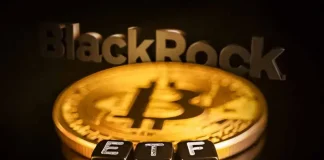 BlackRock Bitcoin ETF Ranks Among Top ETFs In 2025 Despite Crypto Downturn