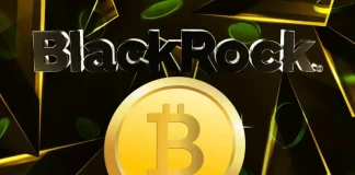 BlackRock Makes Multiple BTC Withdrawals as Bitcoin Price Slips to $95K, Is a Sell-Off Coming?