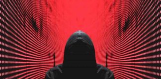 Elon Musk’s X Vows Crackdown on Bribery Network Behind Crypto Scam Accounts