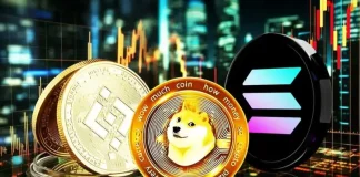 Crypto Market Update: Why is SOL, BNB, DOGE Price Soaring High Today?