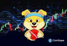 Dogeball ICO Begins January 2 as the Project Prepares for Its 2026 Roadmap