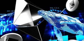 Ethereum Whales Buy $375M Worth of ETH Amid Its ERC-8004 Upgrade This Week