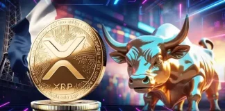 French Finance Insider Buys $48.9M in XRP, Expert Hints at Bullish Move Ahead