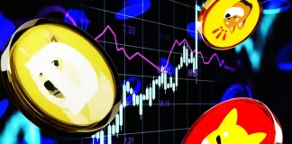 Meme Coins Rally: Why DOGE, SHIB, PEPE and BONK Price are Soaring?