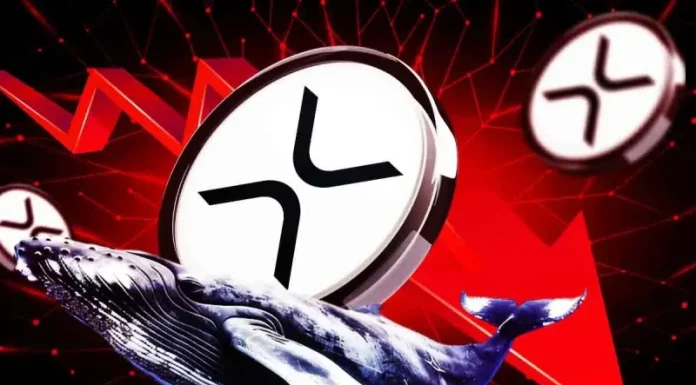 XRP Whales Dump 40M Coins Despite ETF Anticipation, Here’s Why