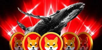 Shiba Inu Price to Surge as Whales Buy and Team Commits to Shibarium Growth