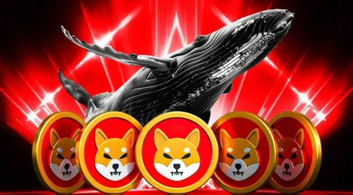 Shiba Inu Price to Surge as Whales Buy and Team Commits to Shibarium Growth