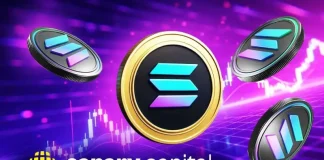 Solana Price Set for Q4 Surge as Canary Capital ETF Filing Meets Wyckoff Accumulation