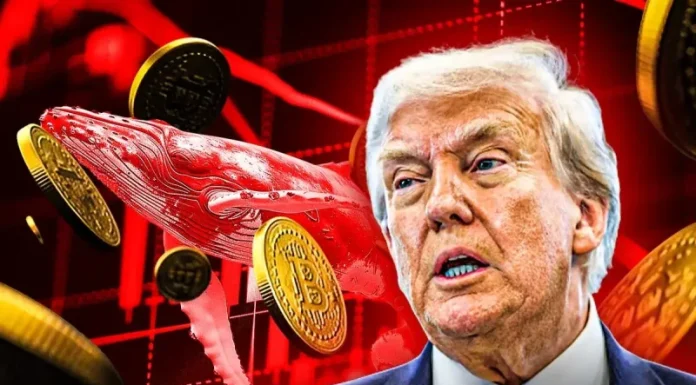 “Trump Insider Whale” Opens $127M Short on Bitcoin Ahead of Trump’s Big Announcement- Is Another Crypto Crash Ahead?