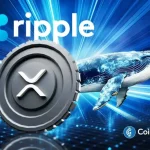 Whale Dumps Massive $55 Million in XRP to Ripple as Coin Falls Below $3?