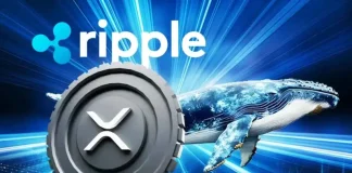 Whale Dumps Massive $55 Million in XRP to Ripple as Coin Falls Below $3?