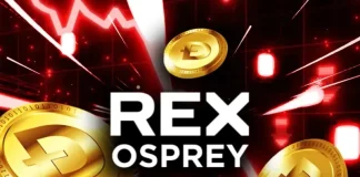 Why is Dogecoin Price Crashing Today Ahead of the Rex Osprey DOGE ETF Debut?