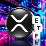 XRP ETF Faces Delay as Expert Confirms October 19b-4 Filings Are Procedural, Not Deadlines