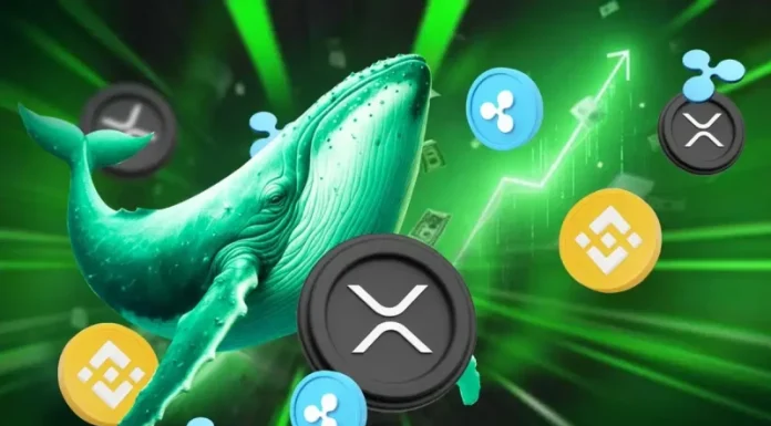 XRP Whale Inflows on Binance Hit 2-Year Low; Ripple Token Price Slips