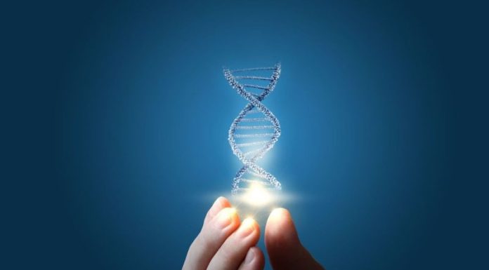 Top 4 NASDAQ Genetics Stocks (Updated January 2026)