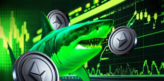Ethereum Price Reclaims $3,200 as Shark Wallets Accelerate Accumulation