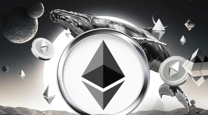 Experts Predict Big ETH Rally on Bullish Options, Whales Signal Post-False Break