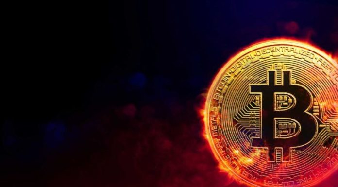 Crypto Market Update: Bitcoin, Altcoins Continue Week-long Decline