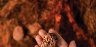 PPC, Lundin Freeze 2026 Processing Fees as Smelters Near Breaking Point