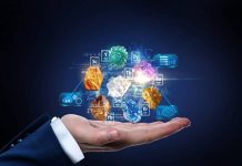 Cellulose Breakthrough Could Simplify Rare Earths Separation