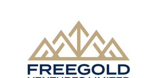 Freegold Intersects 1.53 g/t Au over 191.3m in infill drilling at Golden Summit
