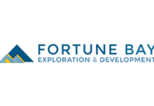FORTUNE BAY GRANTS ANNUAL EQUITY INCENTIVE AWARDS AND SHARE-BASED COMPENSATION