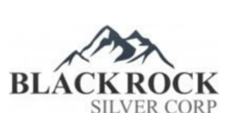 Blackrock Silver Announces Annual General Meeting Results
