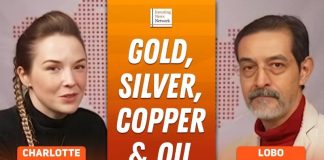 Lobo Tiggre: Gold, Silver Hit Record Highs, Next “Buy Low” Sector