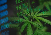 Cannabis Market 2025 Year-End Review