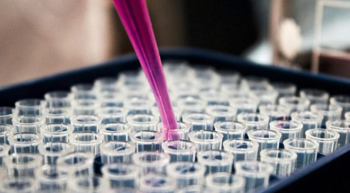 Transforming Disease Detection with AI-Driven Biological Insights