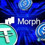 Stablecoins Gain Infrastructure Boost as Morph Backs Startups with $150M