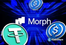 Stablecoins Gain Infrastructure Boost as Morph Backs Startups with $150M