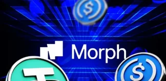 Stablecoins Gain Infrastructure Boost as Morph Backs Startups with $150M