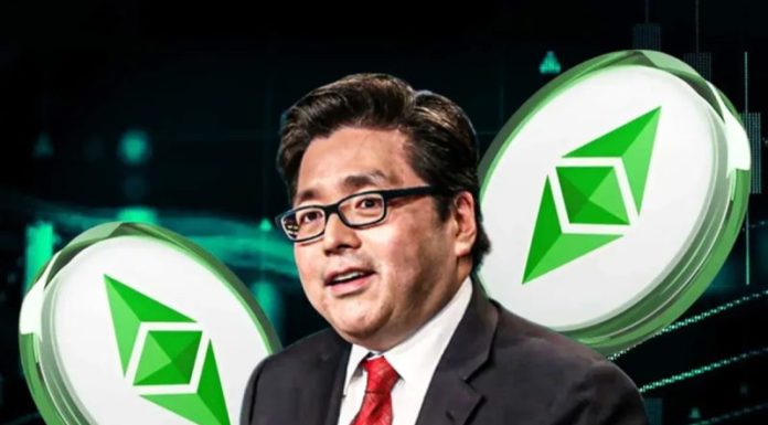 Tom Lee’s BitMine Acquires 96,798 ETH Ahead of Ethereum Fusaka Upgrade