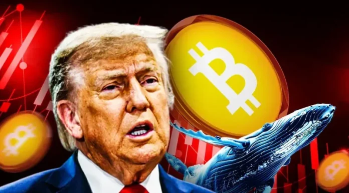 ‘Trump Insider Whale’ Increases Bitcoin Short to $485M Amid Crypto Market Crash